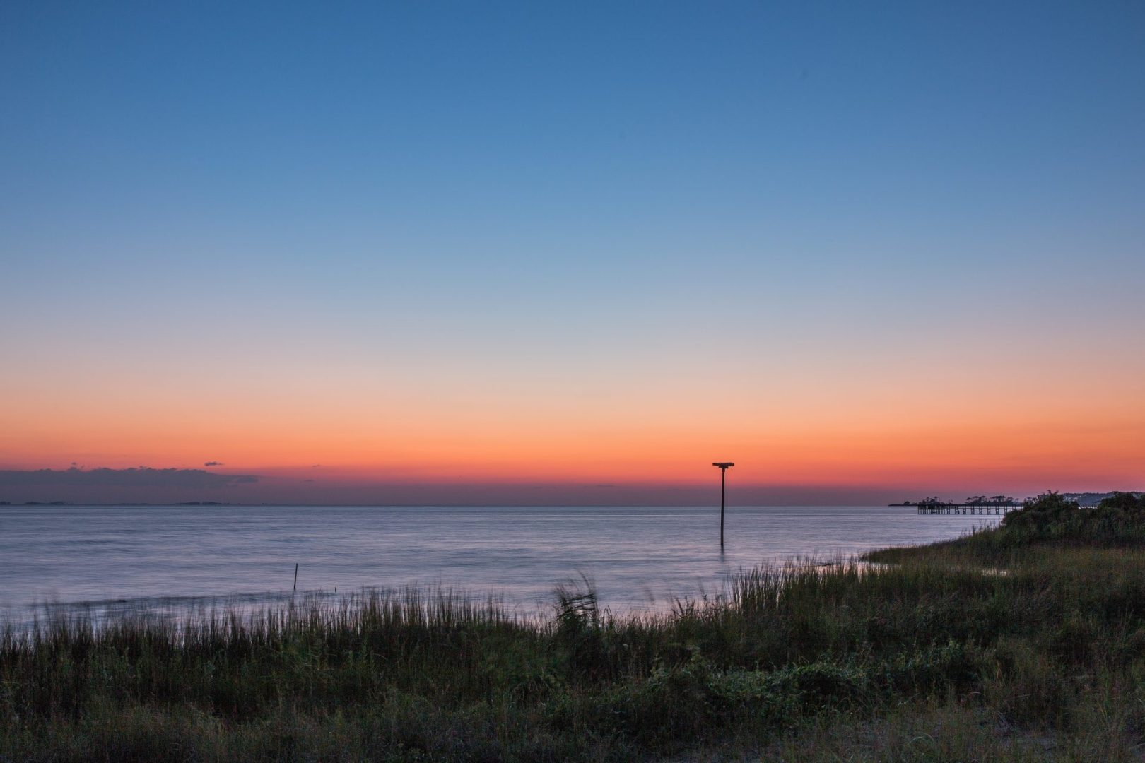 5 reasons why you should visit Long Branch State Park - Happy