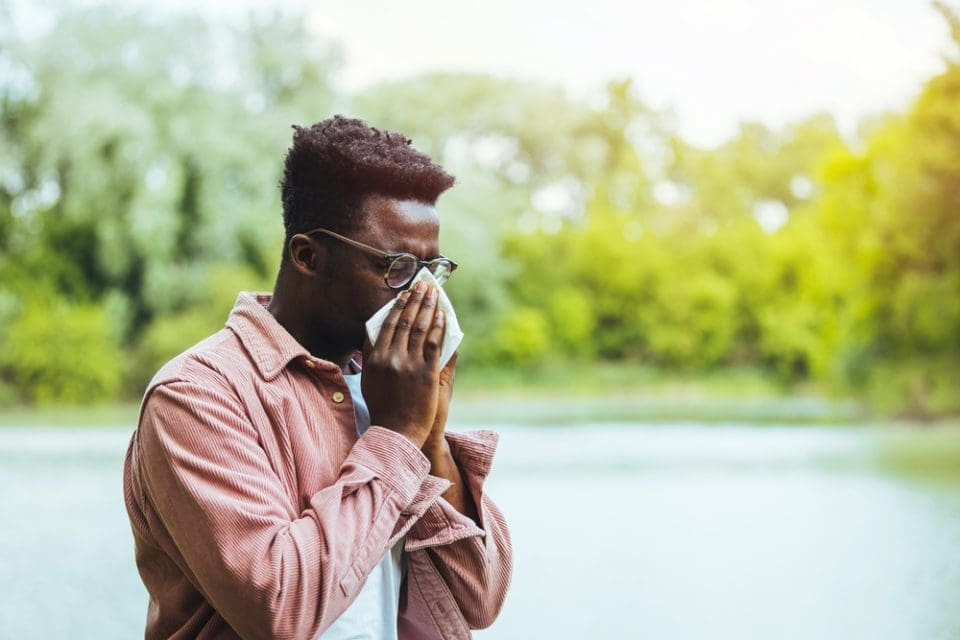 12 powerful natural remedies to beat allergy season