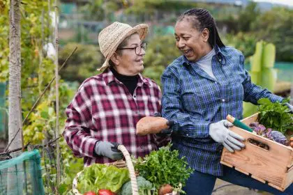 community gardens