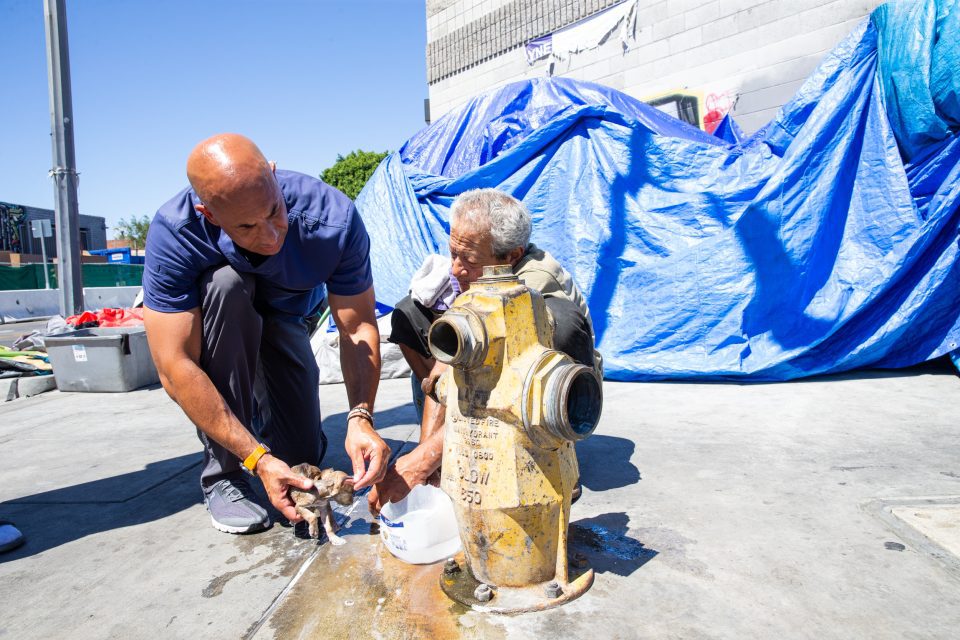 CNN Hero Dr. Kwane Stewart: The street vet providing care and compassion