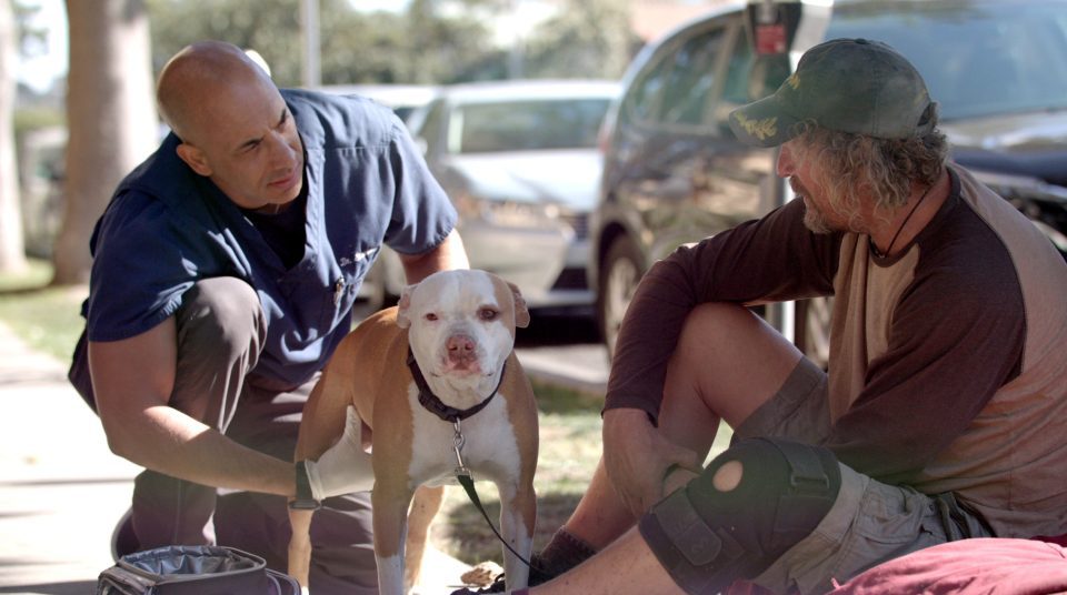 CNN Hero Dr. Kwane Stewart: The street vet providing care and compassion