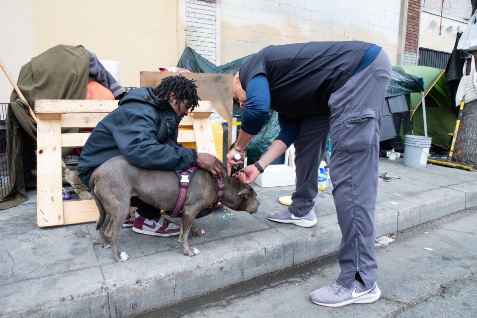 CNN Hero Dr. Kwane Stewart: The street vet providing care and compassion