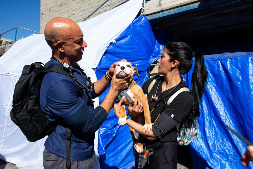 CNN Hero Dr. Kwane Stewart: The street vet providing care and compassion