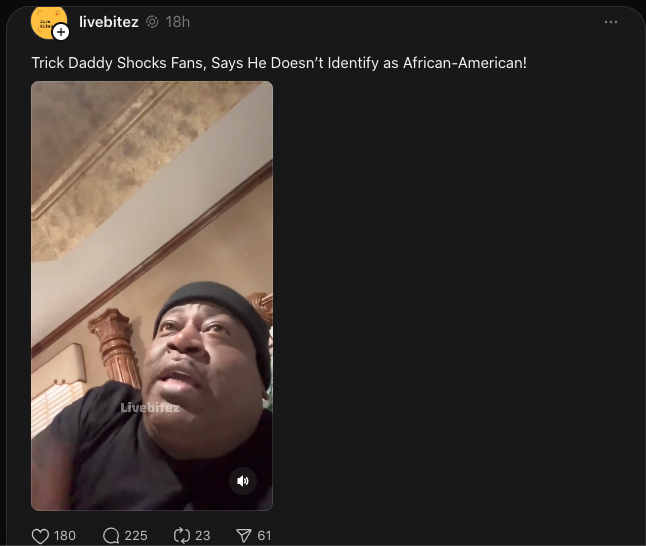 Trick Daddy said he doesn't identifiy as 'African American,' inciting debate