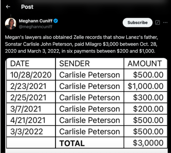 Guess who paid blogger who allegedly harassed Megan Thee Stallion