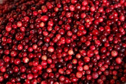 cranberries