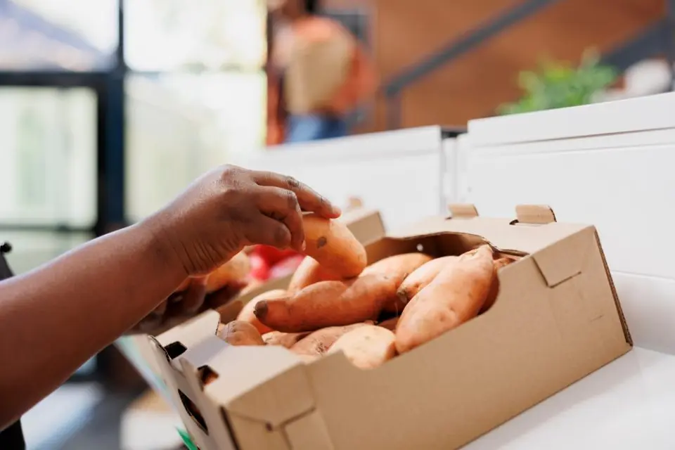 sweet potatoes