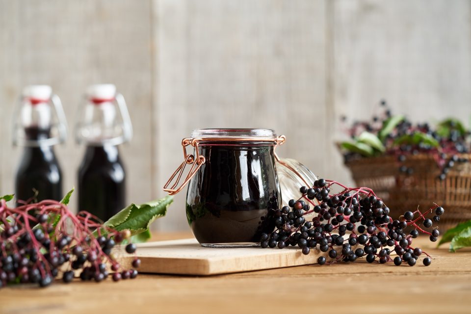 elderberry