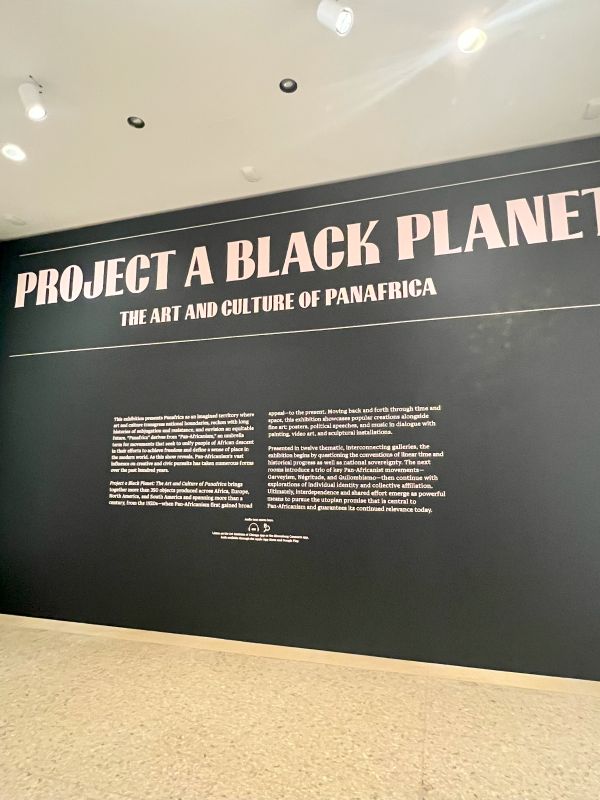 Reflections on Project a Black Planet exhibit