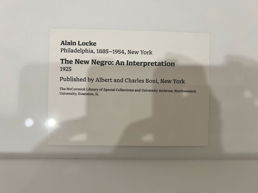 Reflections on Project a Black Planet exhibit