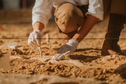 Paleontologist cleaning a fossil