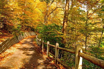 Fall Colors in Philadelphia