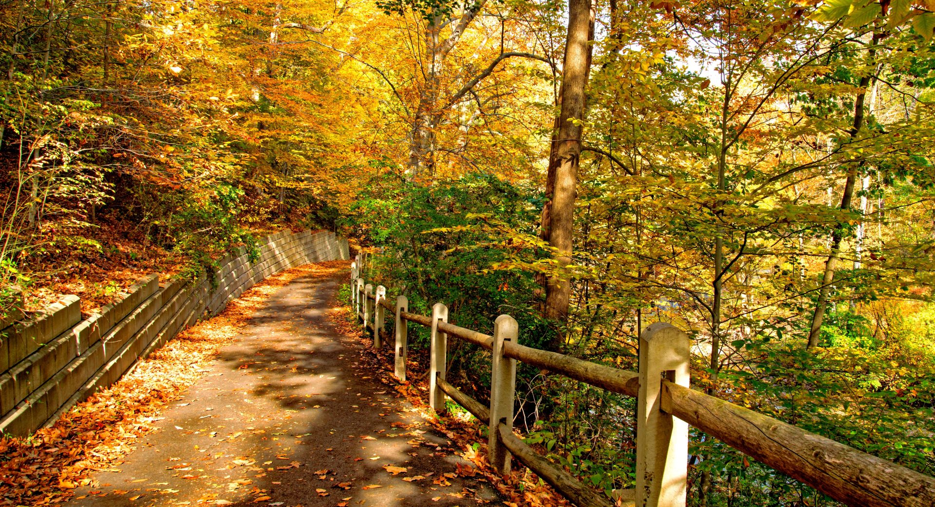 Fall Colors in Philadelphia