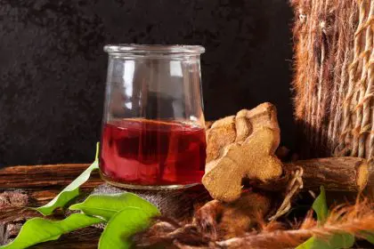 plants, Ayahuasca