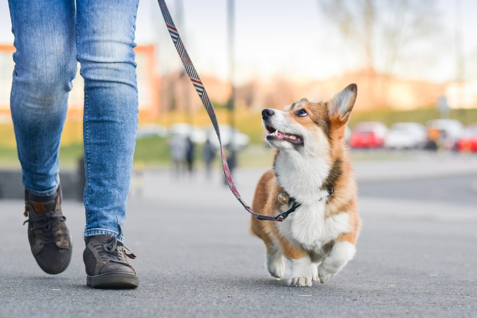 Summer, Walking 10 minutes a day