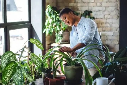 air, plants, home garden