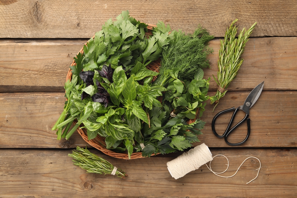 Herbs, plant, health, adaptogens