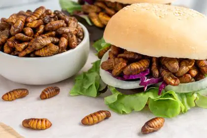 Silkworm for blood clots