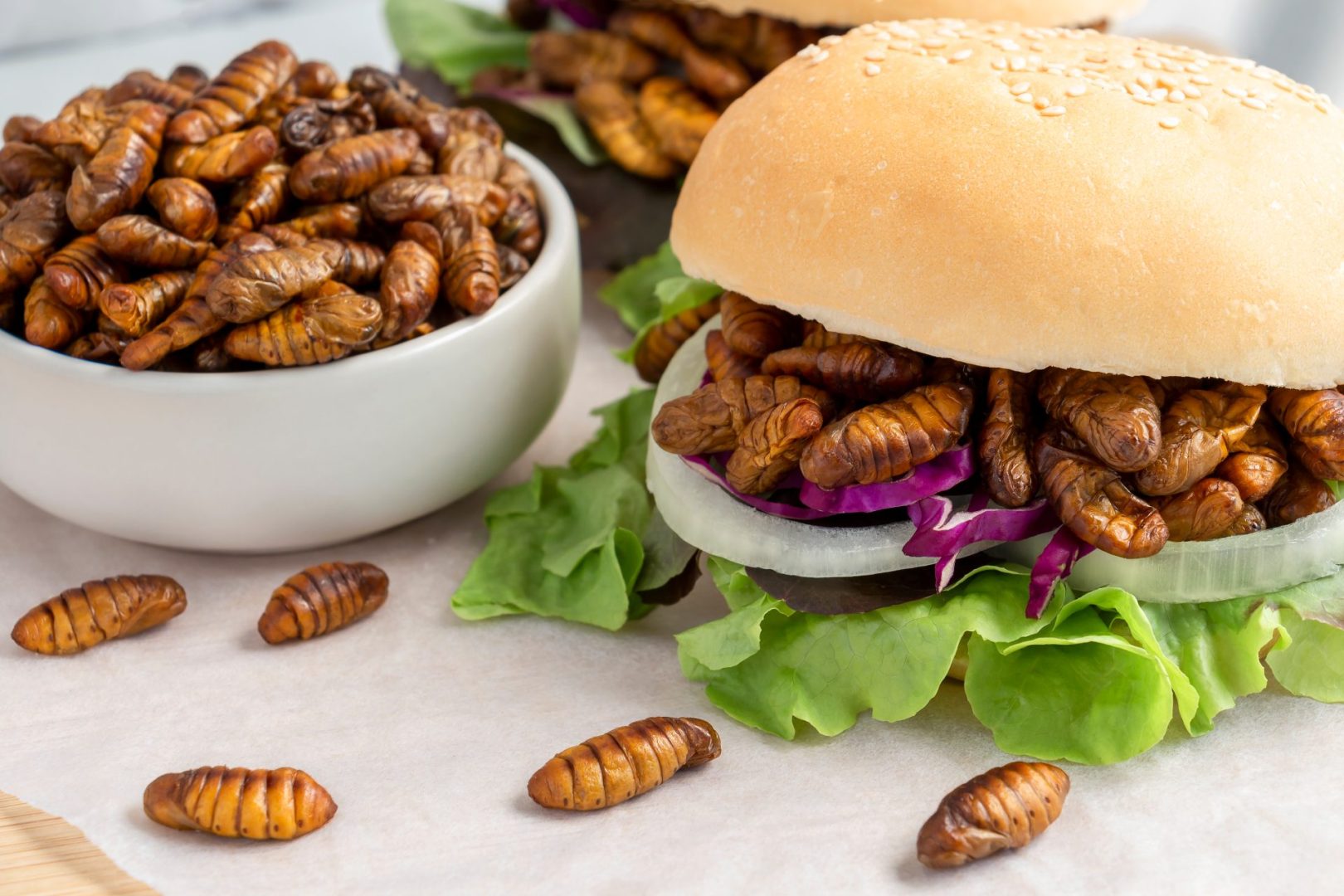 Silkworm for blood clots