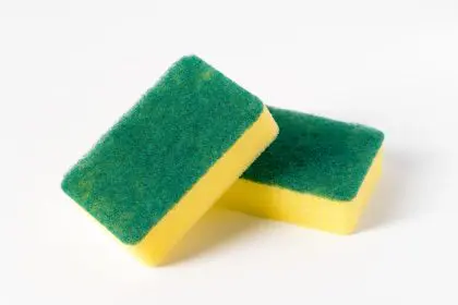 your kitchen sponge