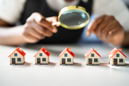 home, inspector, secret