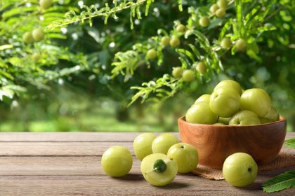 Health benefits of gooseberries