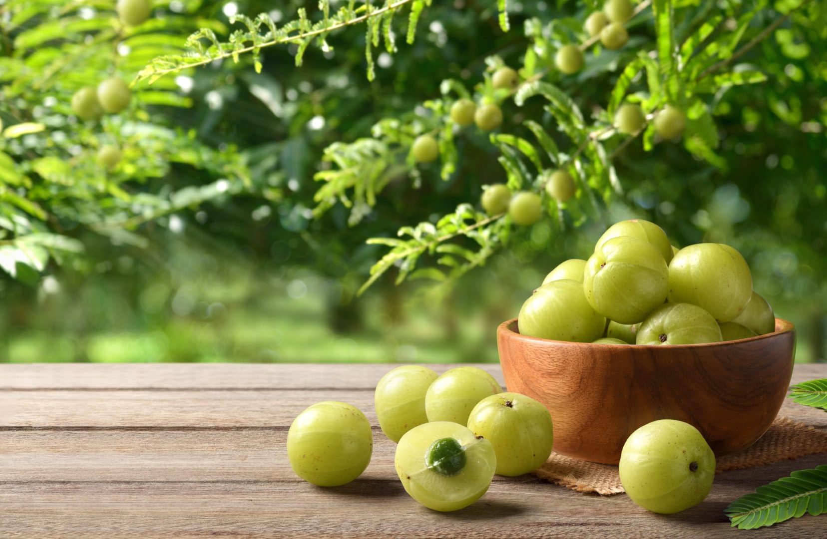 Health benefits of gooseberries
