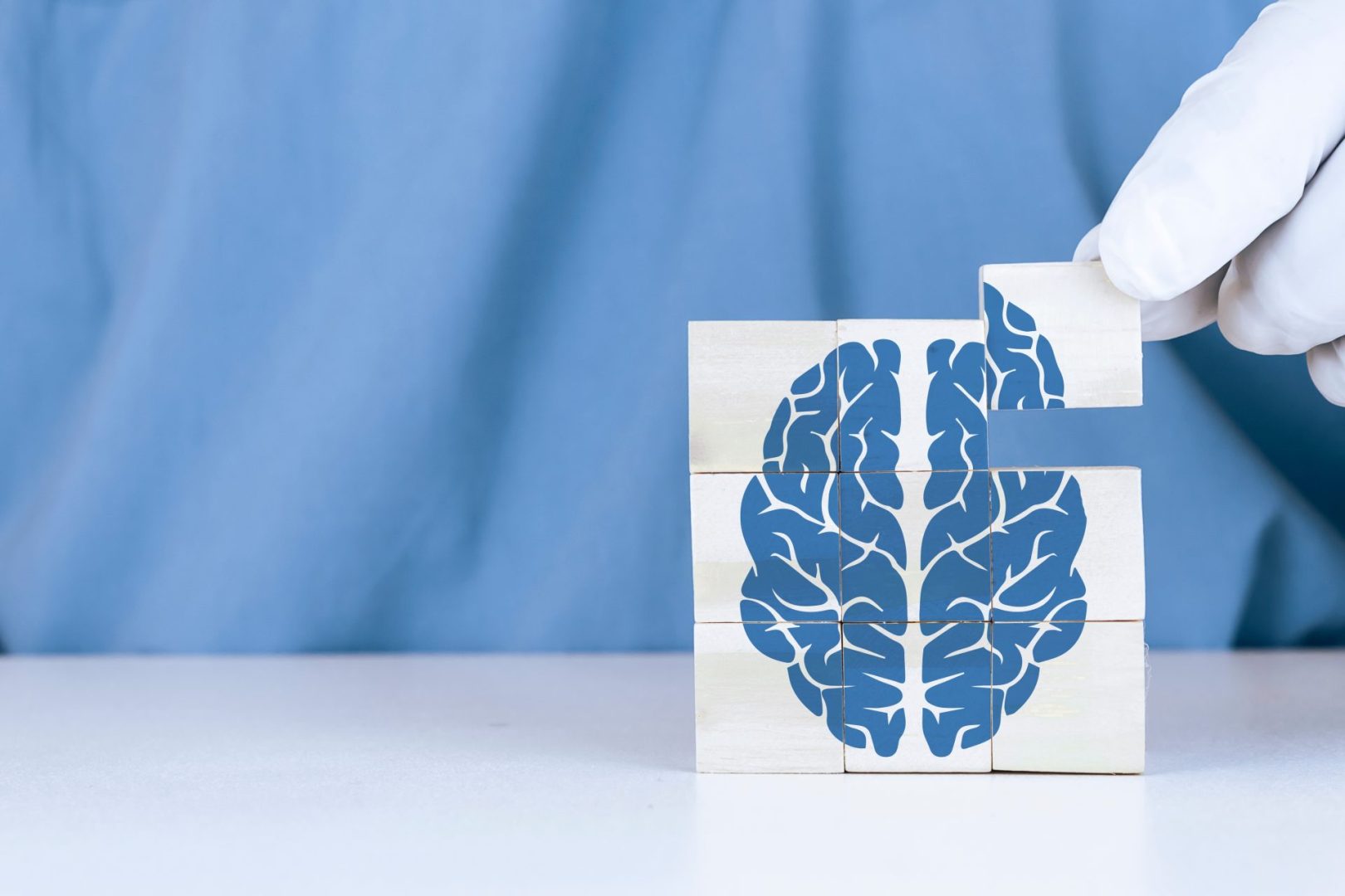 Brain Exercise