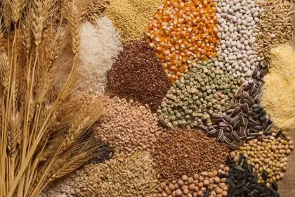 grain, food, seed