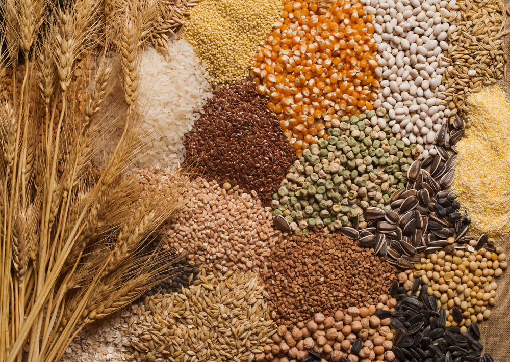 grain, food, seed