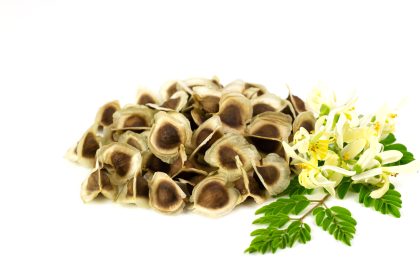 What moringa does to heal