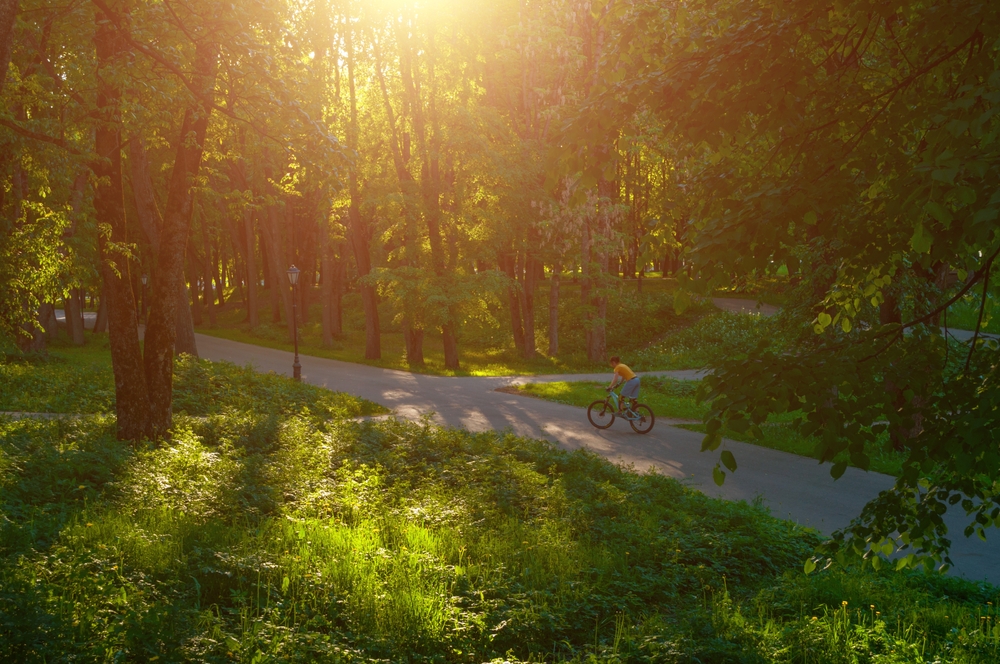 June vibes, summer mood, seasonal psychology
