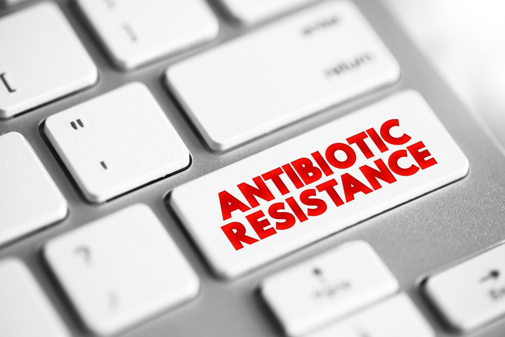 Drug-resistant fungi