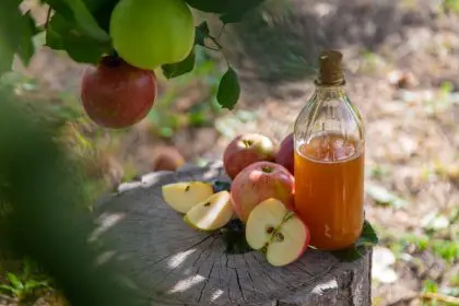 Apple cider vinegar, health, wellness