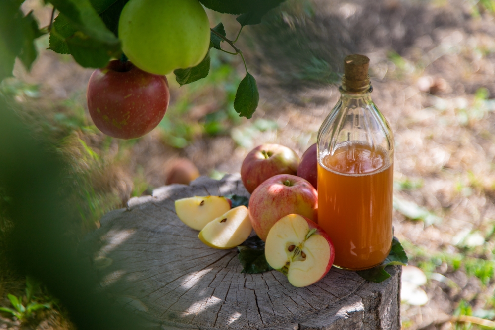 Apple cider vinegar, health, wellness