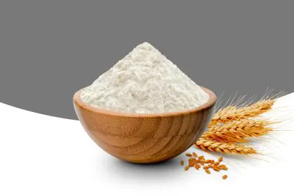your body can't digest wheat