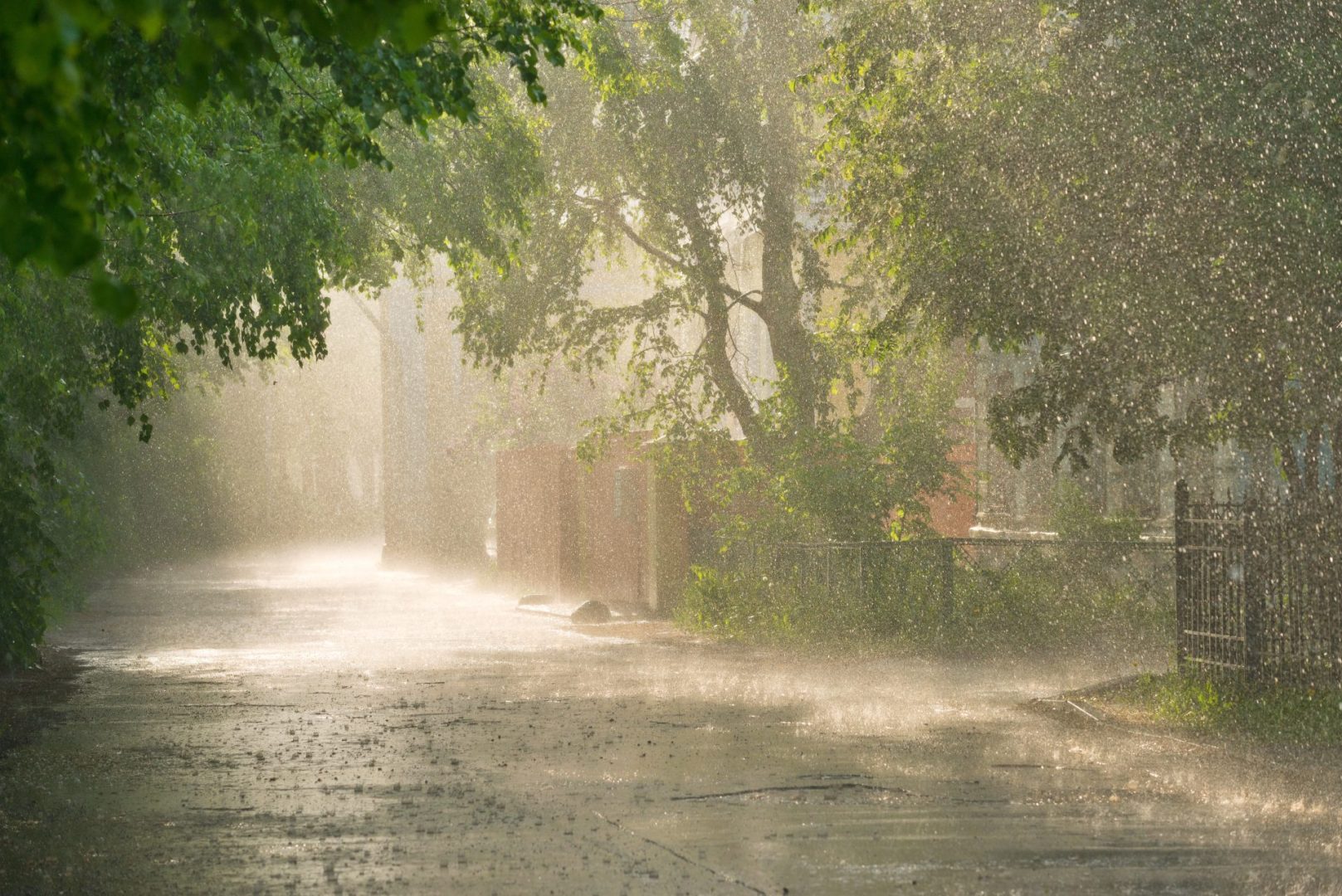 Newark flash flood