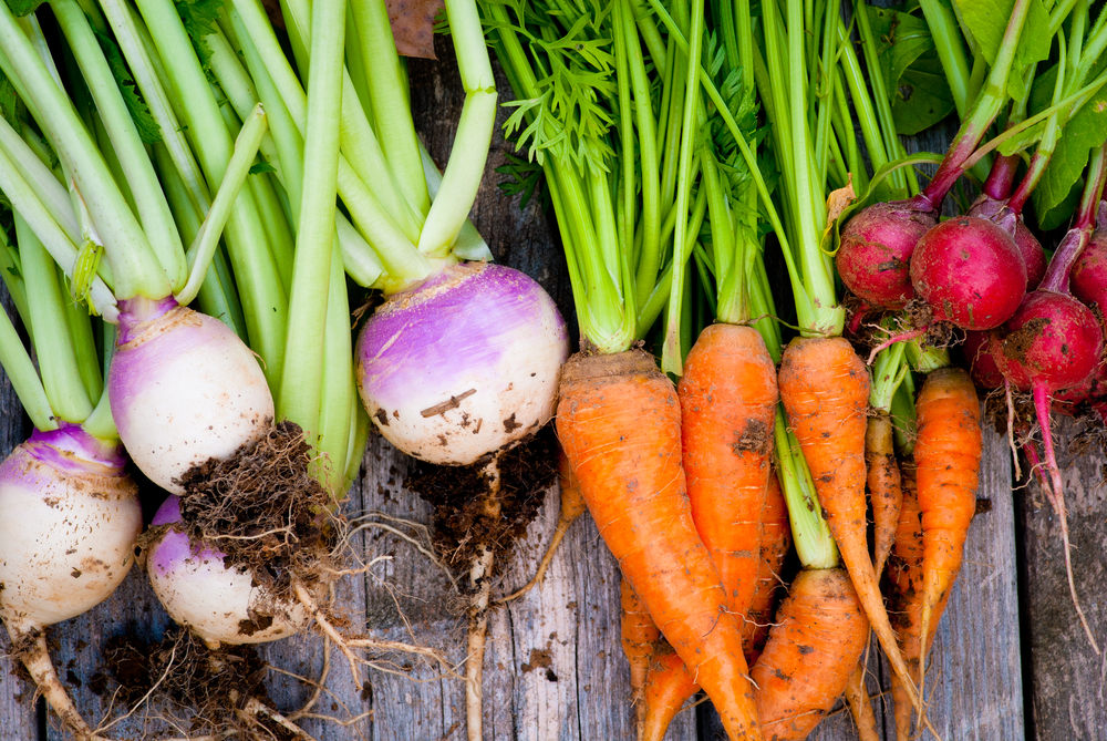 health, root vegetables, sweet potatoes, healthy eating