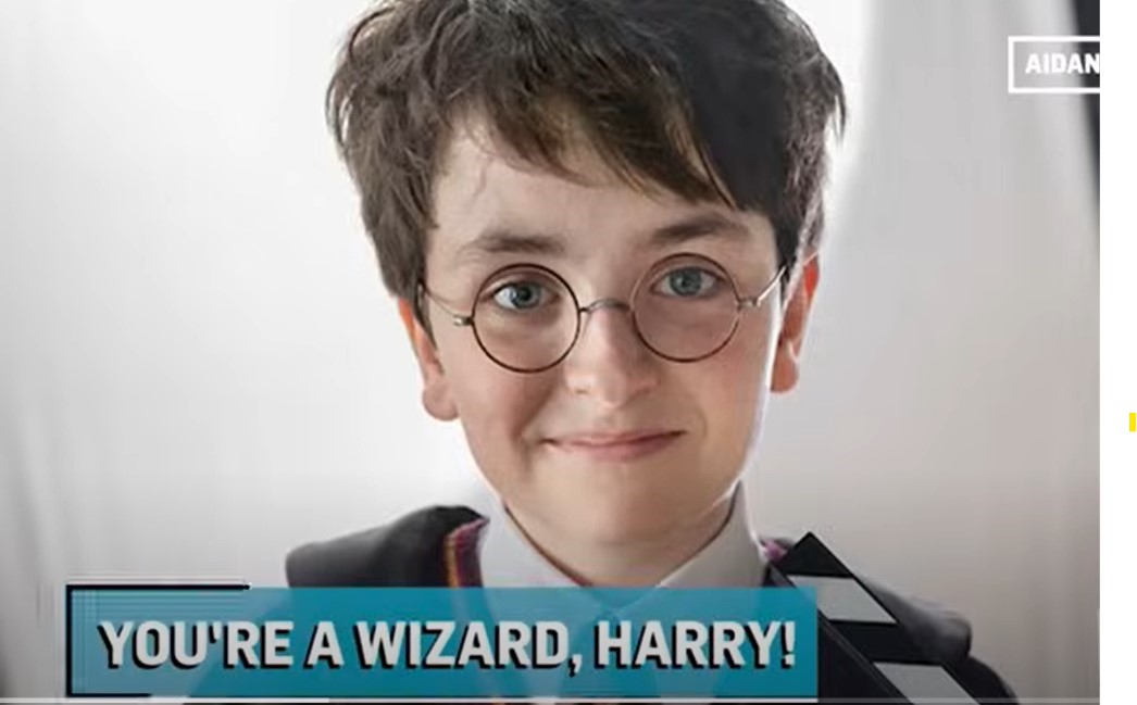 Harry Potter series