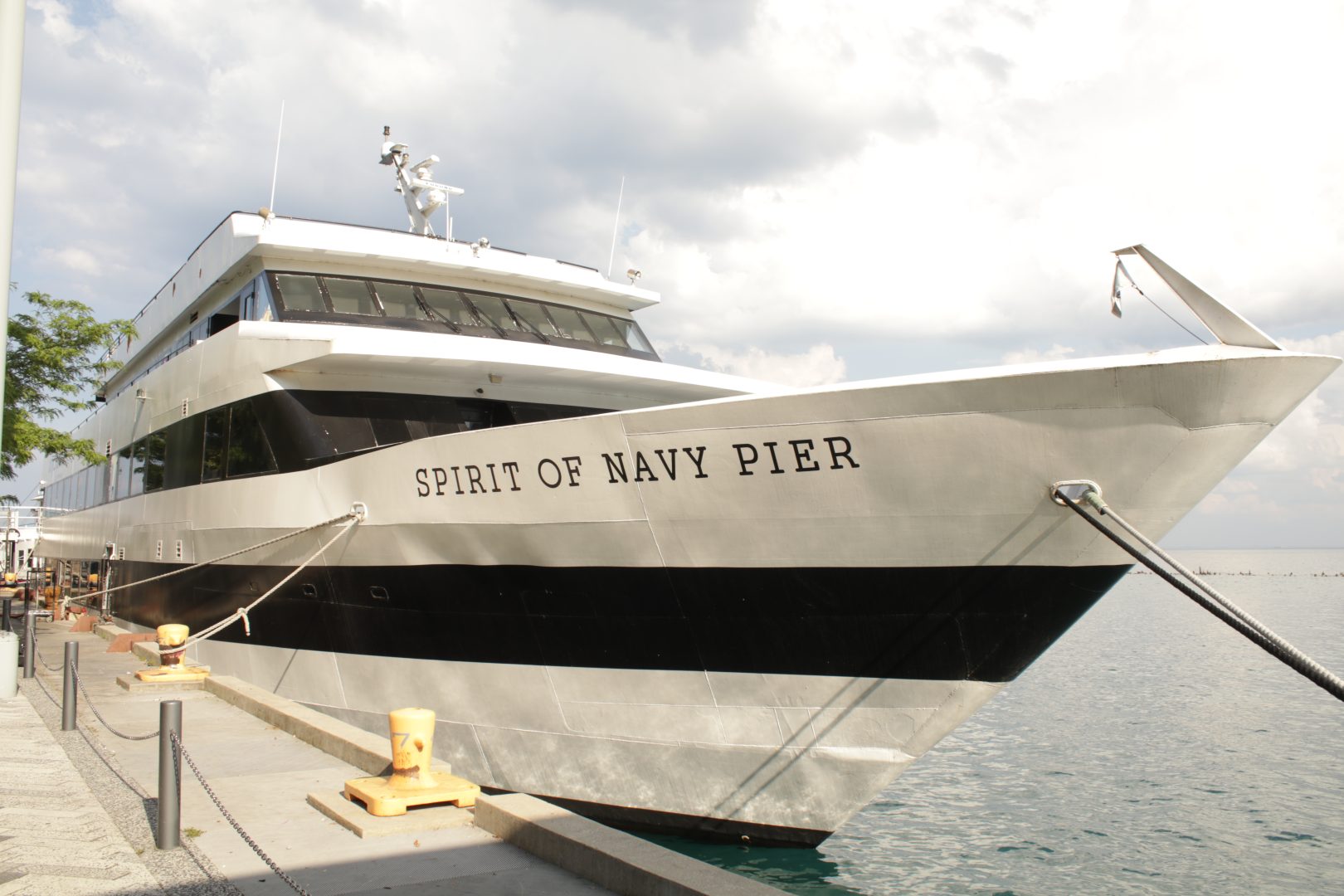 Illinois State Black Chamber celebrates on Lake Michigan