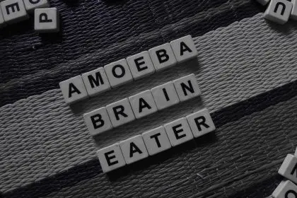 brain-eating amoeba