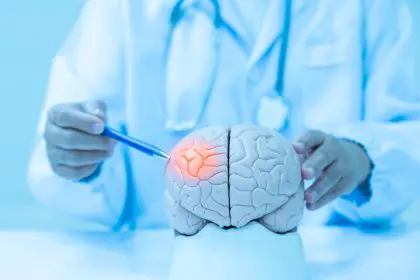 Brain foods that boost memory