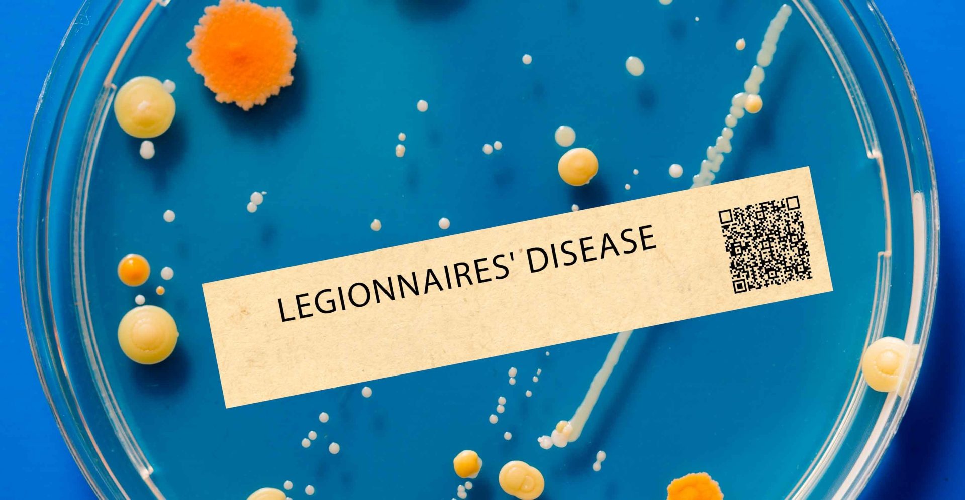 City set to name buildings in Legionnaires outbreak
