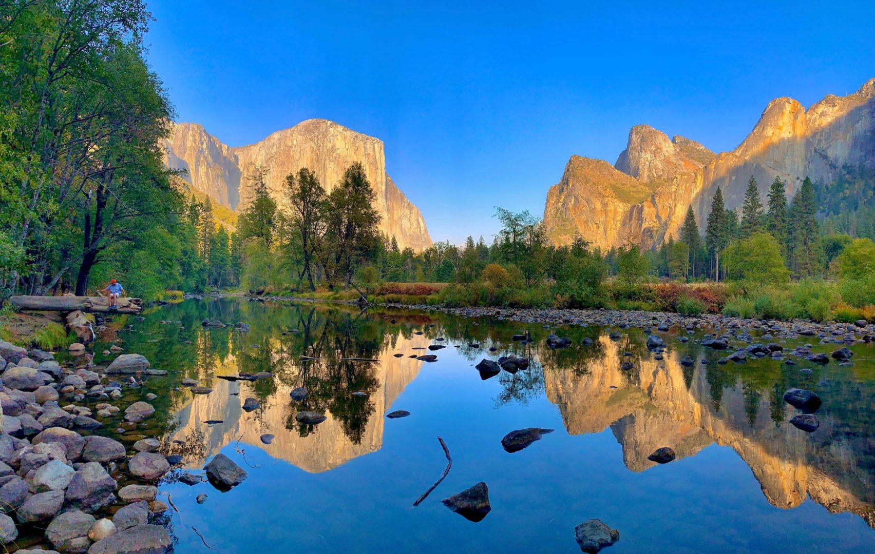 national park management
