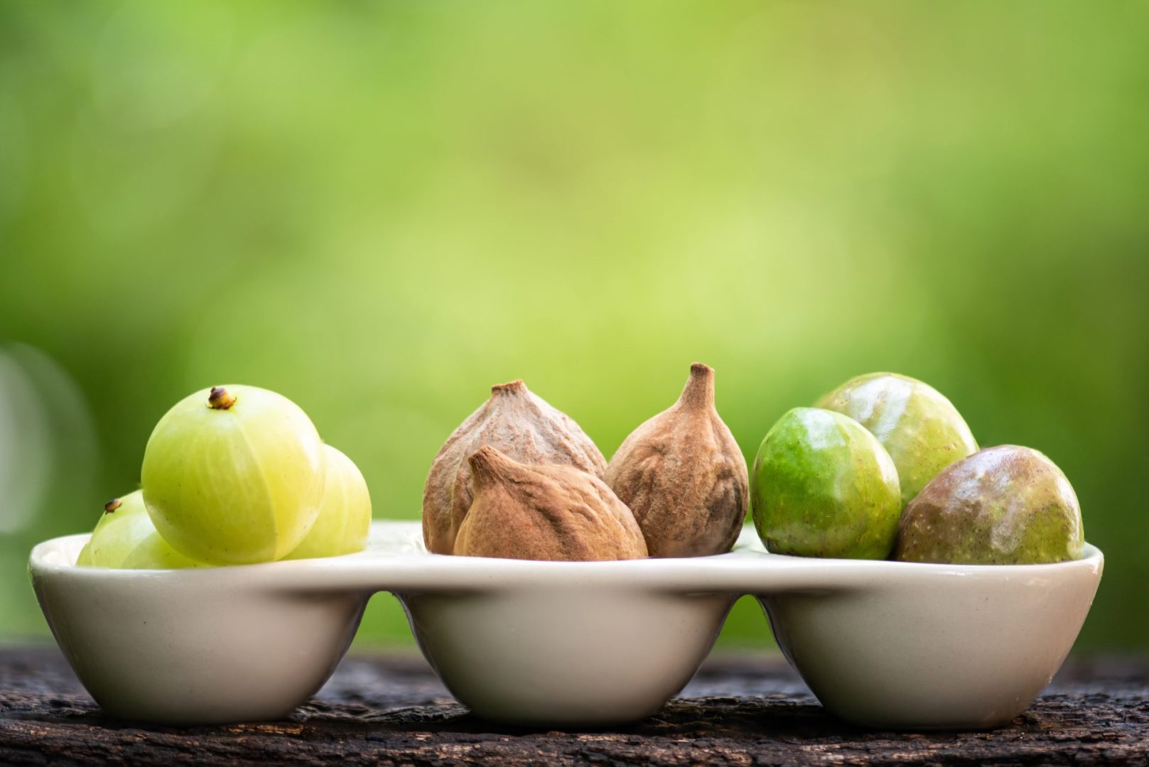 triphala is a healer
