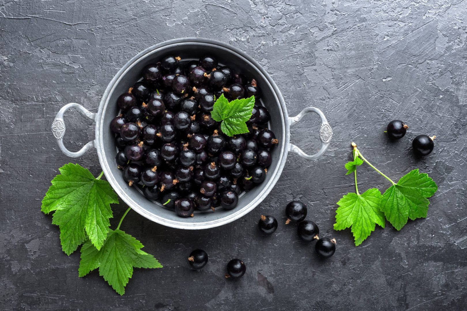 Black currants crush disease