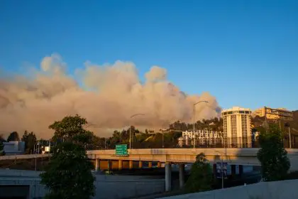 Canyon fire, evacuation, wild