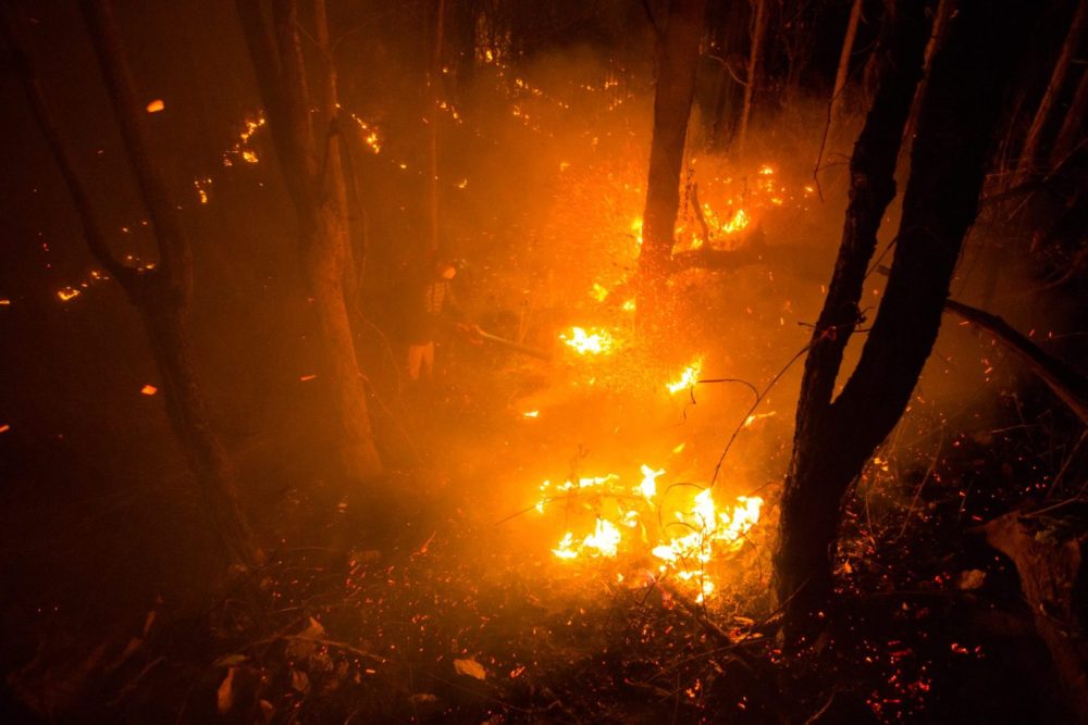 Dry Creek Fire forces urgent evacuations in Colorado