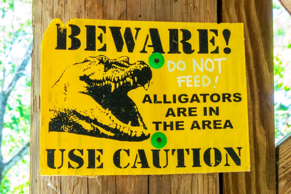 Disney World Removed 400 Alligators After a Child Died