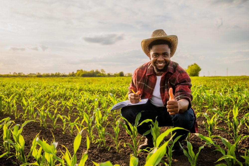 Black farmers win $127 million grant victory